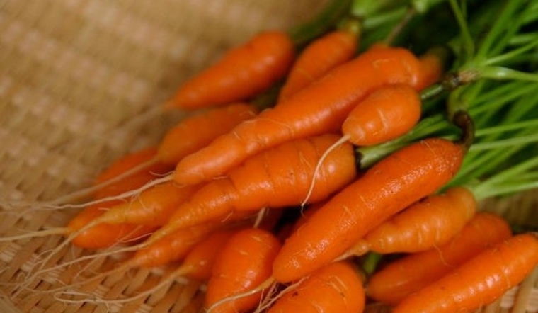 Cà rốt tí hon giá bán gấp 3 lần loại thường có gì đặc biệt?